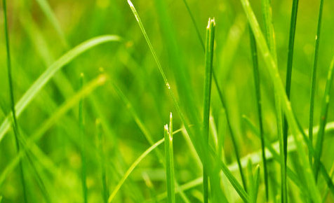 实打实服务的ddos攻击测试工具